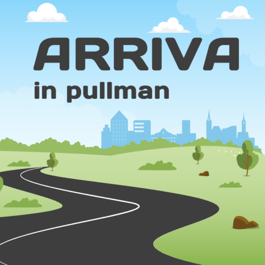 arriva in pullman