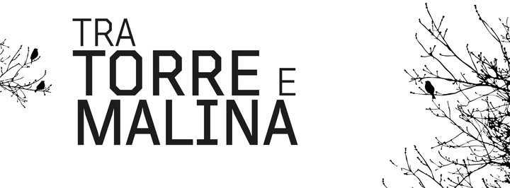 torrente torre